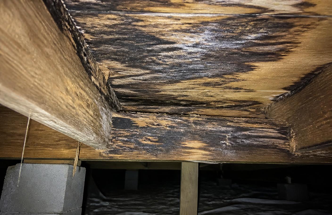 Water staining and deterioration on floor joists above a damp crawl space