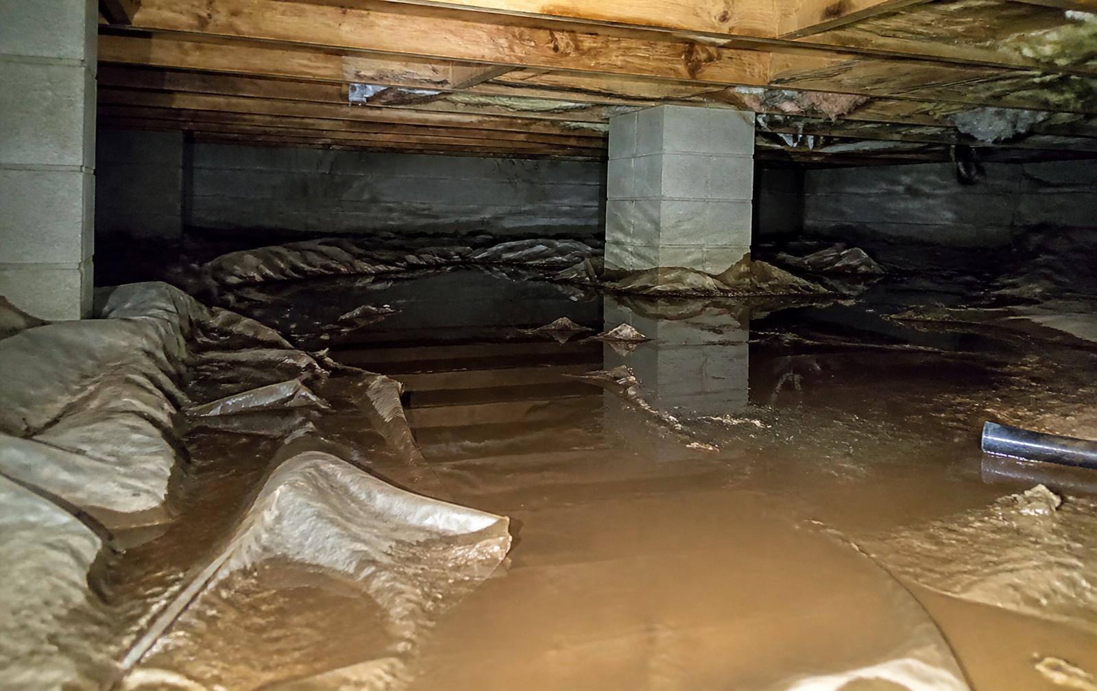 Standing water in a residential crawl space with a displaced plastic barrier